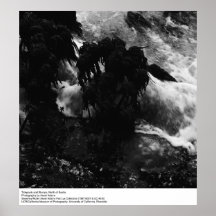 Tidepools och stubbar, vid Ansel Adams Affisch