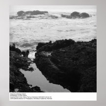 Tidepools på Bodegastationen av Ansel Adams Affischer