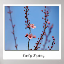 Tidig vår blommor posters