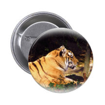 Tiger_1001 Knappar Med Nål