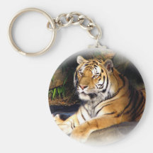 Tiger_1151 Nyckel Ringar