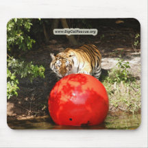 Tiger_Aroara030 kopierar Mus Mattor