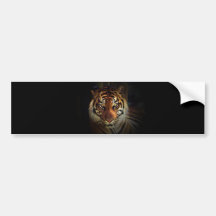 Tiger Bildekaler