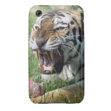 tiger iPhone 3 Case-Mate fodral