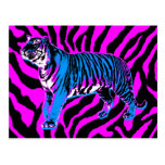 TIGER för VILD för VINTAGE för COREY-TIGER80-tal R Vykort