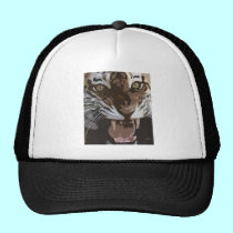 TIGER kepsar