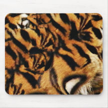 Tiger Love_ Musmatta