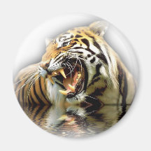 Tiger Magneter