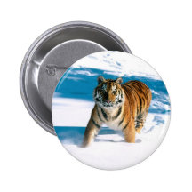tiger nål