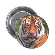 Tiger Nål