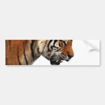 Tiger på jakten bildekal