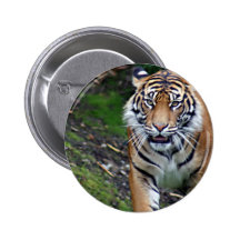 Tiger Pins