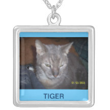 TIGER SMYCKEN