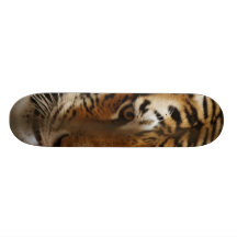 TigeransikteSkateboard