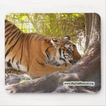 TigerBengali 001 kopierar Mus Matta