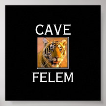 TIGERBeware av katten - i Lati…, - Skräddarsy Posters