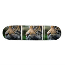TigerbildSkateboard
