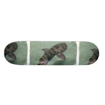 TigerhajSkateboard