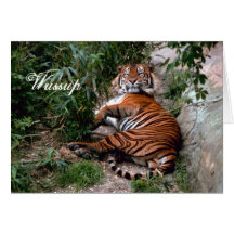 Tigerhälsningkort