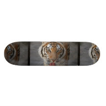 Tigern kysser skateboarden