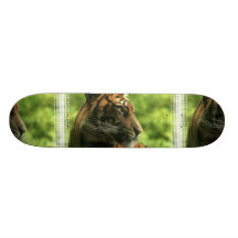 Tigern profilerar skateboarden