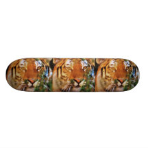 TIGERN STIGER OMBORD SKATEBOARD DECKS