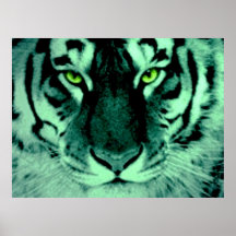 Tigern synar affisch