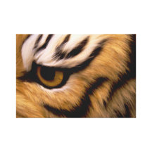 Tigern synar kanvastryck