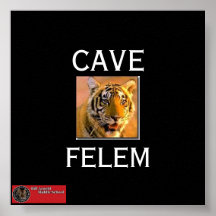 Tigernew arnold_logo3, GROTTA, FELEM Affisch
