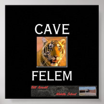 Tigernew banner1, GROTTA, FELEM Affisch