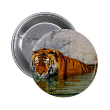 tigersimma nål