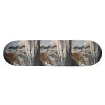 Tigerskateboarden