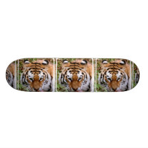 TigerteckningSkateboard