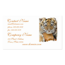 Tigerungevisitkort