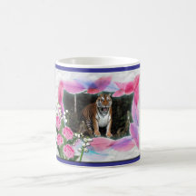 Tigervalentinmuggar
