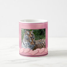 Tigervalentinmuggar
