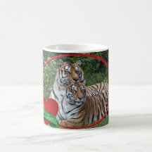 Tigervalentinmuggar