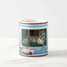 Tigervalentinmuggar