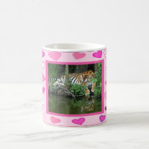 Tigervalentinmuggar
