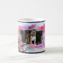 Tigervalentinmuggar