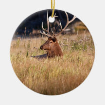 Tjurälg Julgransdekoration