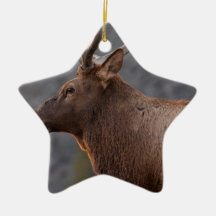 Tjurälg Julgransdekoration