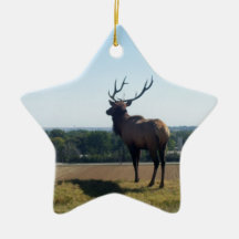 Tjurälg Julgransdekorationer