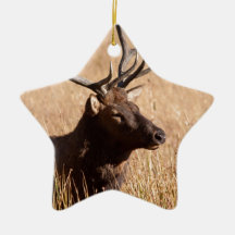 Tjurälg Julgransdekorationer