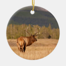 Tjurälg Julgranskula