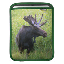 Tjurälg Sleeve För iPads