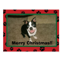 tobyxmascard god jul!! vykort