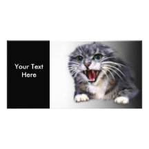 Tokigt grått kattfotokort