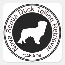 Tolling Retriever för Nova Scotia anka Klistermärke