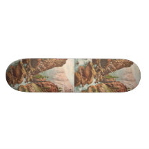 Toltec klyfta skateboard decks